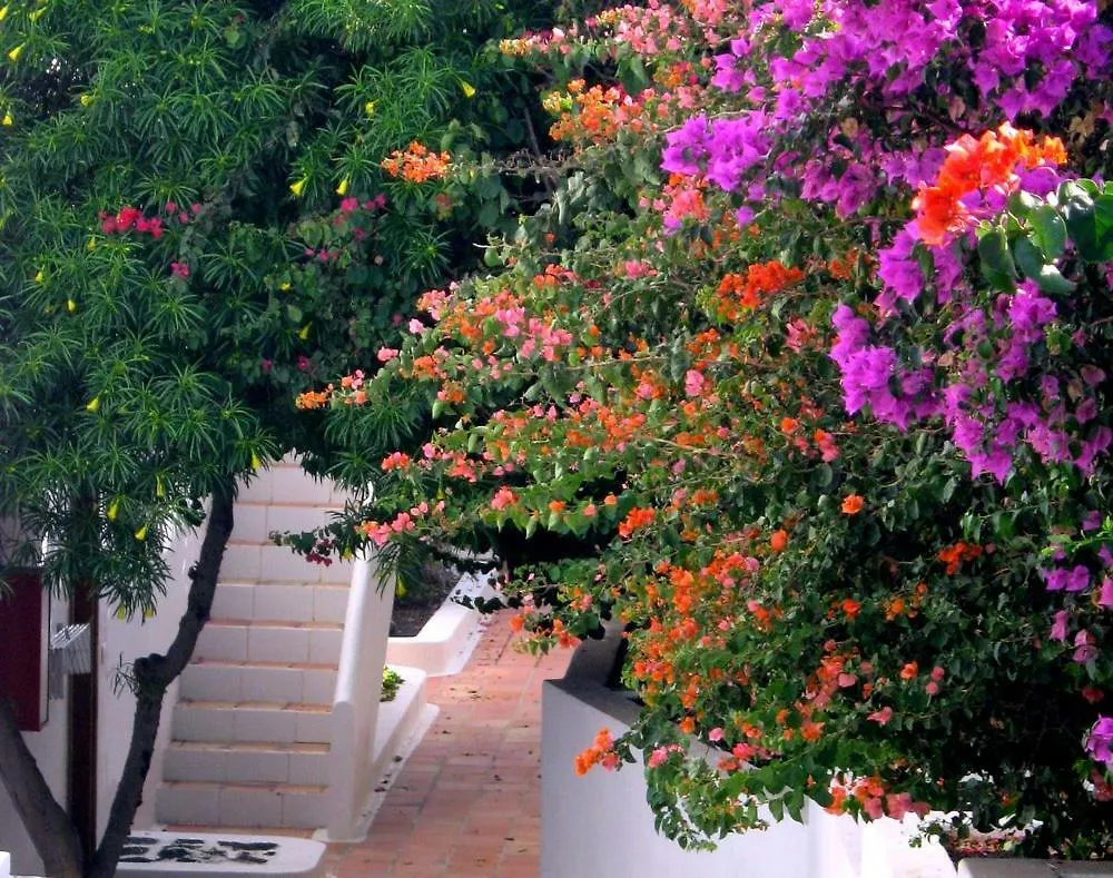 Apartamentos Tamarindos Puerto del Carmen  Apartment